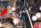 कोलंबिया में 7.4 तीव्रता के भूकंप के बाद मलबे से जिंदा निकाला गया नवजात, रेस्क्यू का वीडियो वायरल