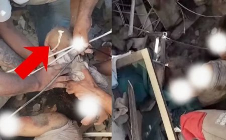 कोलंबिया में 7.4 तीव्रता के भूकंप के बाद मलबे से जिंदा निकाला गया नवजात, रेस्क्यू का वीडियो वायरल