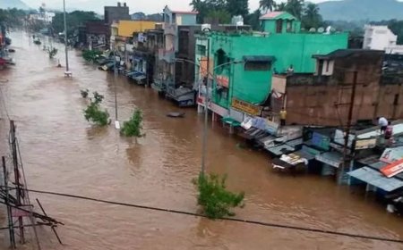 ओडिशा में बाढ़ का तांडव: 6 जिलों के 503 गांव डूबे, 2.7 लाख लोग प्रभावित