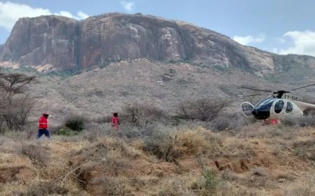 केन्या में हेलीकॉप्टर दुर्घटना: 5 अमेरिकी नागरिकों सहित 7 लोगों की मौत, जांच शुरू