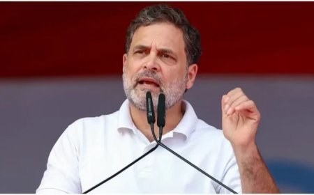 क्या नागपुर में हुंकार भरेंगे राहुल गांधी? 'छात्रों की गूंज' कार्यक्रम की तैयारी तेज