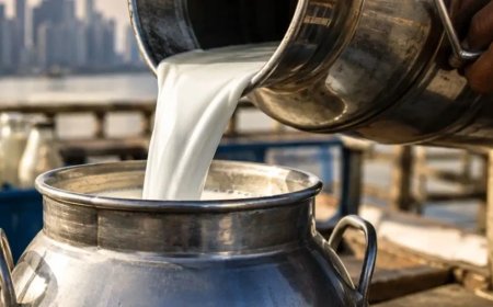 मुंबई में दूध की कीमतों में भारी उछाल: 1 सितंबर से 9 रुपये प्रति लीटर की बढ़ोतरी