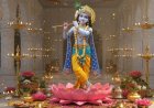 जन्माष्टमी पर करें ये खास उपाय, आर्थिक लाभ, करियर और प्रेम विवाह की बाधाएं होंगी दूर
