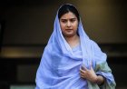 पश्चिमी यूपी में इकरा हसन बनीं सपा का नया चेहरा, इमरान मसूद को अखिलेश की चुनौती
