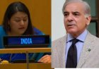 UN में भारत का पाकिस्तान को करारा जवाब, ओसामा बिन लादेन का जिक्र कर आतंकवाद पर घेरा