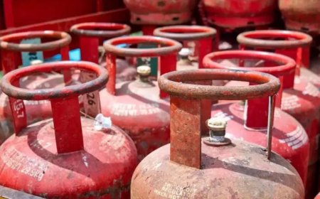 LPG Cylinder Booking: ग्राहकों के लिए बड़ी खुशखबरी, अब 25 दिन बाद बुक होगा अगला सिलेंडर