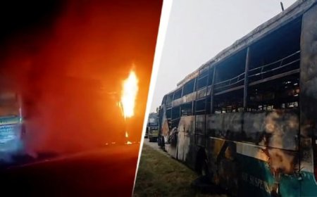 यमुना एक्सप्रेसवे पर भीषण हादसा: स्लीपर बस में लगी आग, 9 यात्रियों की मौत