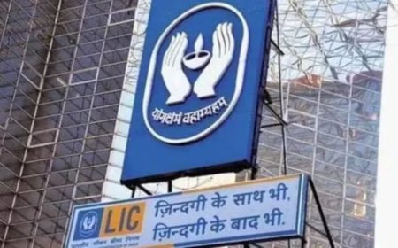 LIC के एमडी दिनेश पंत का समय से पहले VRS मंजूर, अब IRDAI में संभालेंगे बड़ी जिम्मेदारी