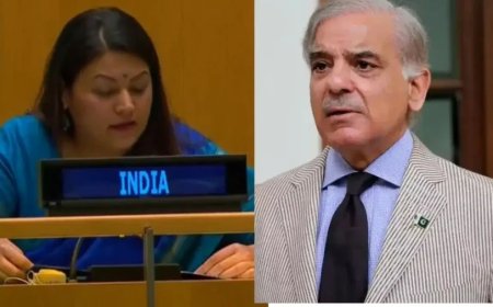 UN में भारत का पाकिस्तान को करारा जवाब, ओसामा बिन लादेन का जिक्र कर आतंकवाद पर घेरा
