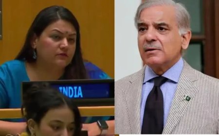 भारत ने UN में पाकिस्तान को धोया: शहबाज सरकार को बताया फॉर्म 47 सरकार