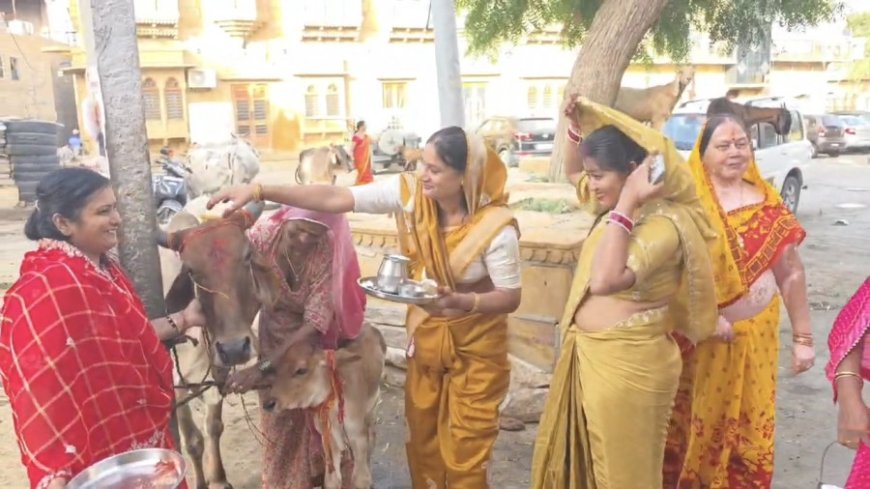 जैसलमेर में श्रद्धा के साथ मनाया गया बछ बारस पर्व, महिलाओं ने की संतान की लंबी आयु की कामना