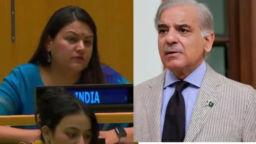 भारत ने UN में पाकिस्तान को धोया: शहबाज सरकार को बताया फॉर्म 47 सरकार