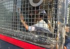 ममता बनर्जी हिरासत में: दिल्ली पुलिस ने टीएमसी नेताओं के खिलाफ की बड़ी कार्रवाई