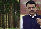 महाराष्ट्र में बत्तीस हजार पेड़ों की कटाई पर विवाद, सीएम फडणवीस का बड़ा बयान