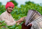 पीएम किसान की चौबीसवीं किस्त दिवाली से पहले खाते में आएगी, पढ़ें पूरी रिपोर्ट विस्तार से