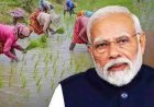 दिवाली से पहले किसानों को तोहफा, पीएम किसान की 24वीं किस्त जारी: जानिए क्या है पूरा मामला