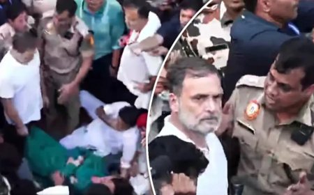जंतर-मंतर नहीं पहुंच पाया विपक्ष, दिल्ली पुलिस ने राहुल और प्रियंका गांधी को हिरासत में लेकर छोड़ा