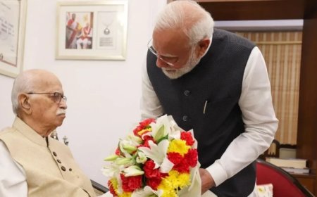 सार्वजनिक जीवन के 25 साल पूरे होने पर LK आडवाणी से मिले PM मोदी