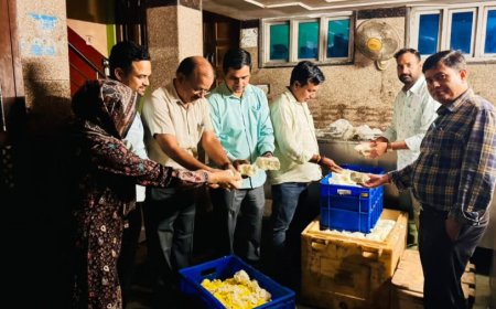 शुद्ध आहार मिलावट पर बड़ा एक्शन: जयपुर में 520 किलो पनीर नष्ट और कई प्रतिष्ठानों को नोटिस