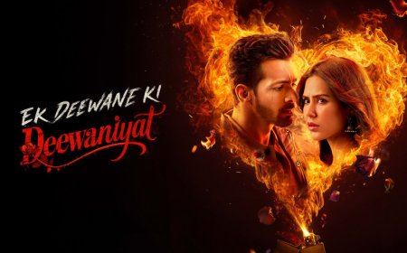 एक दीवाने की दीवानियत 2 को लेकर बड़ा अपडेट सामने आया, जानें पूरी रिपोर्ट और मुख्य बातें