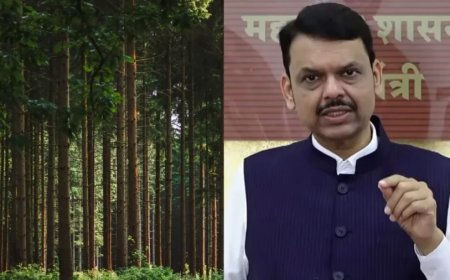 महाराष्ट्र में बत्तीस हजार पेड़ों की कटाई पर विवाद, सीएम फडणवीस का बड़ा बयान