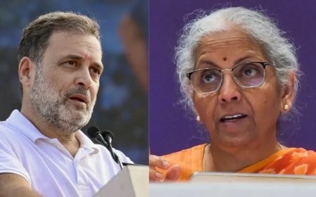 निर्मला सीतारमण का राहुल गांधी को जवाब, हर मुद्दे पर राजनीति से बचने की सलाह