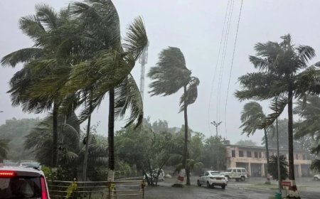चक्रवाती तूफान का असर छत्तीसगढ़ से यूपी बिहार तक, सात राज्यों में बारिश का अलर्ट