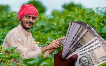 पीएम किसान की चौबीसवीं किस्त दिवाली से पहले खाते में आएगी, पढ़ें पूरी रिपोर्ट विस्तार से