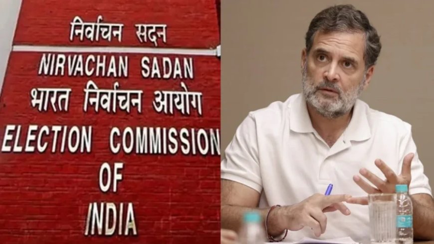 चुनाव आयोग ने किया राहुल गांधी के दावे का फैक्ट चेक, किस बयान को बताया गुमराह करने वाला?