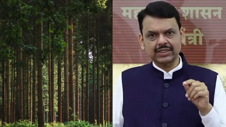 महाराष्ट्र में बत्तीस हजार पेड़ों की कटाई पर विवाद, सीएम फडणवीस का बड़ा बयान
